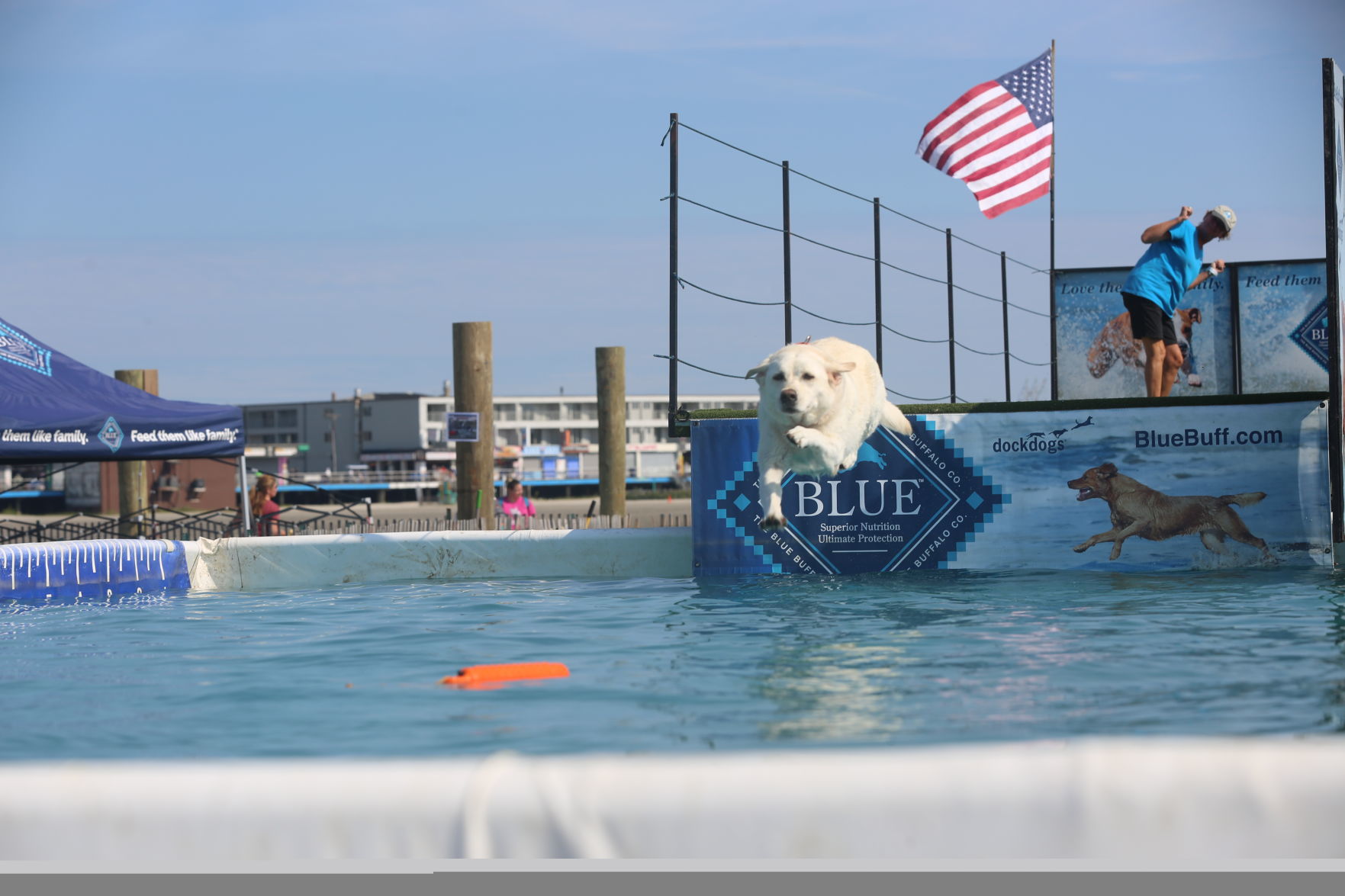 090919_gal_dockdogsWW (16)